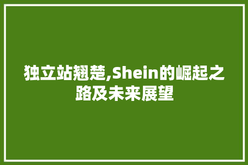 独立站翘楚,Shein的崛起之路及未来展望