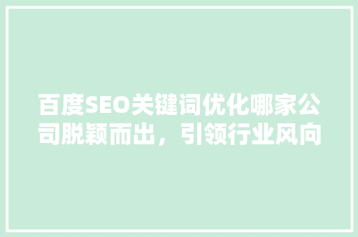 百度SEO关键词优化哪家公司脱颖而出，引领行业风向标