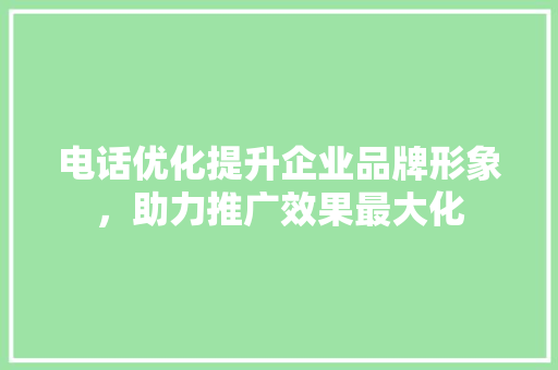 电话优化提升企业品牌形象，助力推广效果最大化