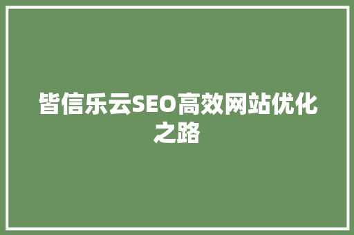 皆信乐云SEO高效网站优化之路