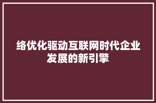 络优化驱动互联网时代企业发展的新引擎 软件技术