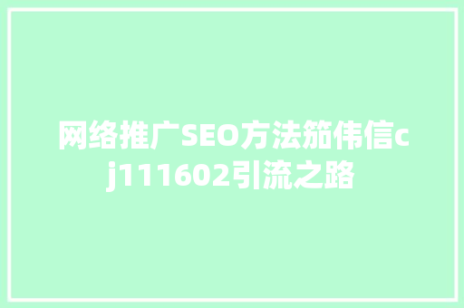 网络推广SEO方法笳伟信cj111602引流之路 AI场景