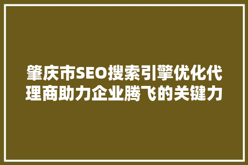 肇庆市SEO搜索引擎优化代理商助力企业腾飞的关键力量