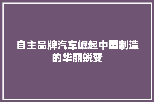 自主品牌汽车崛起中国制造的华丽蜕变