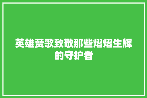 英雄赞歌致敬那些熠熠生辉的守护者