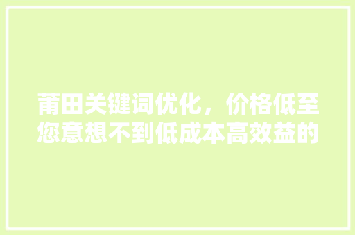 莆田关键词优化，价格低至您意想不到低成本高效益的秘密武器