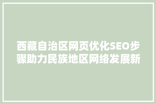 西藏自治区网页优化SEO步骤助力民族地区网络发展新篇章