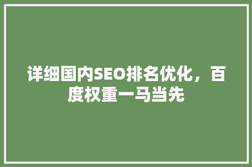 详细国内SEO排名优化，百度权重一马当先