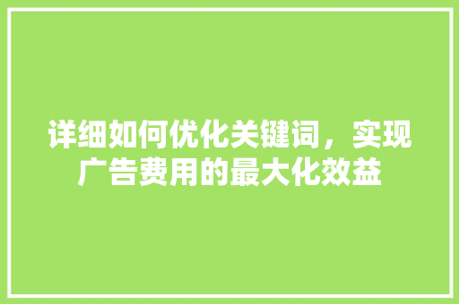 详细如何优化关键词，实现广告费用的最大化效益