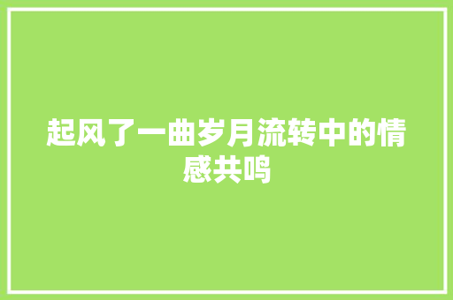 起风了一曲岁月流转中的情感共鸣