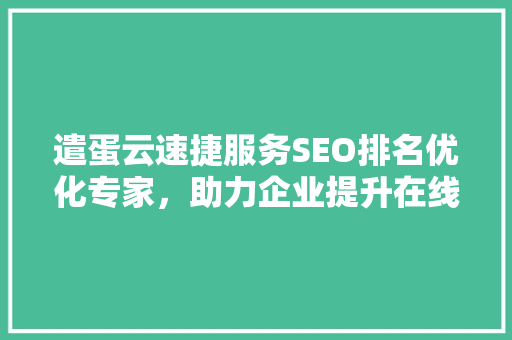 遣蛋云速捷服务SEO排名优化专家，助力企业提升在线竞争力