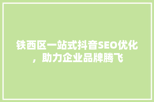 铁西区一站式抖音SEO优化，助力企业品牌腾飞