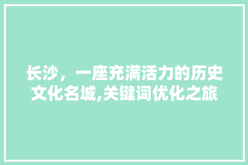 长沙，一座充满活力的历史文化名城,关键词优化之旅