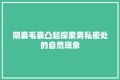 阴囊毛囊凸起探索男私密处的自然现象