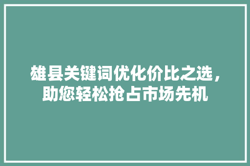 雄县关键词优化价比之选，助您轻松抢占市场先机