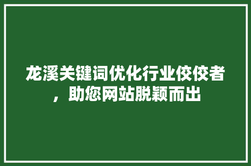 龙溪关键词优化行业佼佼者，助您网站脱颖而出