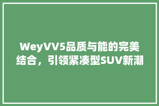 WeyVV5品质与能的完美结合，引领紧凑型SUV新潮流
