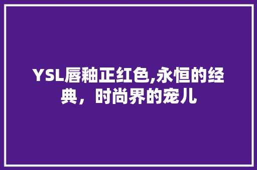 YSL唇釉正红色,永恒的经典，时尚界的宠儿