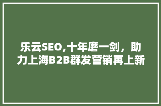 乐云SEO,十年磨一剑，助力上海B2B群发营销再上新台阶