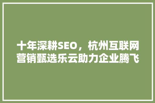 十年深耕SEO，杭州互联网营销甄选乐云助力企业腾飞