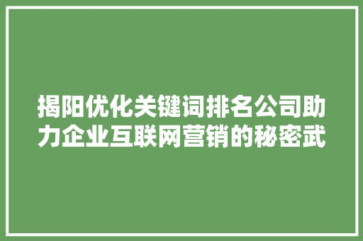揭阳优化关键词排名公司助力企业互联网营销的秘密武器