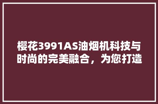 樱花3991AS油烟机科技与时尚的完美融合，为您打造健康厨房生活 AI场景