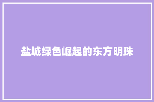 盐城绿色崛起的东方明珠