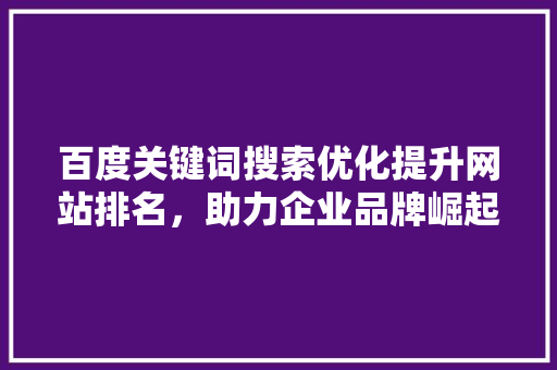 百度关键词搜索优化提升网站排名，助力企业品牌崛起