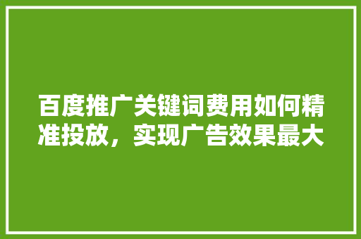 百度推广关键词费用如何精准投放，实现广告效果最大化