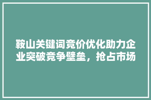 鞍山关键词竞价优化助力企业突破竞争壁垒，抢占市场先机