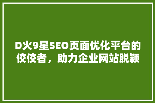 D火9星SEO页面优化平台的佼佼者，助力企业网站脱颖而出
