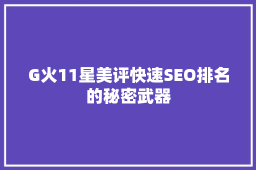 G火11星美评快速SEO排名的秘密武器