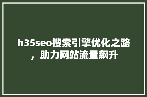h35seo搜索引擎优化之路，助力网站流量飙升