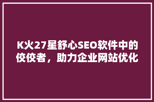 K火27星舒心SEO软件中的佼佼者，助力企业网站优化脱颖而出