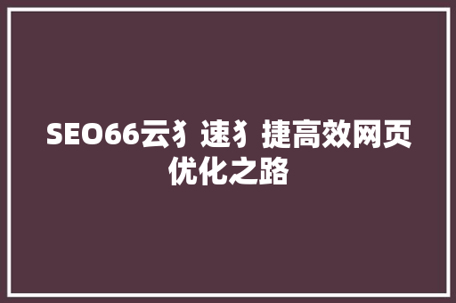 SEO66云犭速犭捷高效网页优化之路
