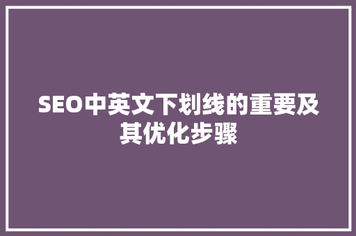 SEO中英文下划线的重要及其优化步骤
