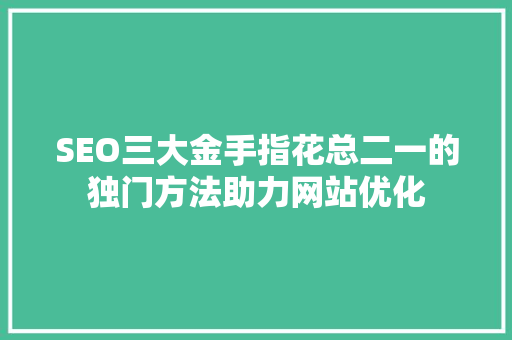 SEO三大金手指花总二一的独门方法助力网站优化