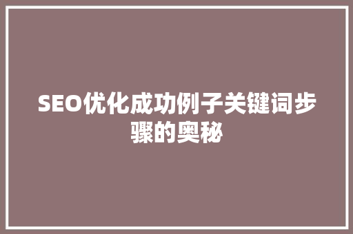SEO优化成功例子关键词步骤的奥秘