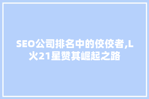 SEO公司排名中的佼佼者,L火21星赞其崛起之路