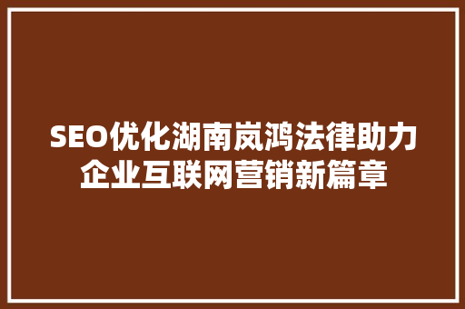 SEO优化湖南岚鸿法律助力企业互联网营销新篇章