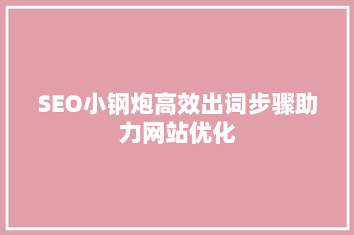 SEO小钢炮高效出词步骤助力网站优化