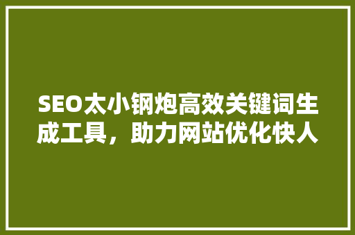 SEO太小钢炮高效关键词生成工具，助力网站优化快人一步