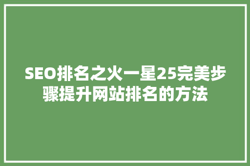 SEO排名之火一星25完美步骤提升网站排名的方法