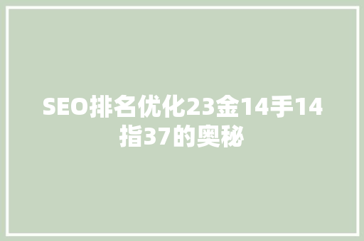 SEO排名优化23金14手14指37的奥秘