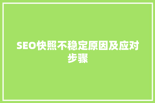 SEO快照不稳定原因及应对步骤