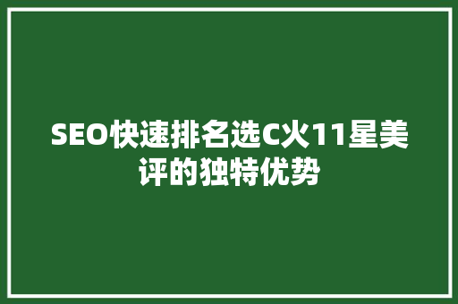 SEO快速排名选C火11星美评的独特优势