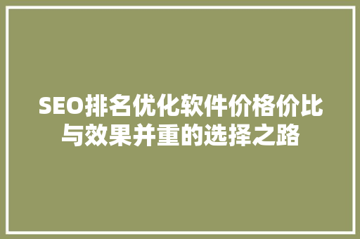 SEO排名优化软件价格价比与效果并重的选择之路