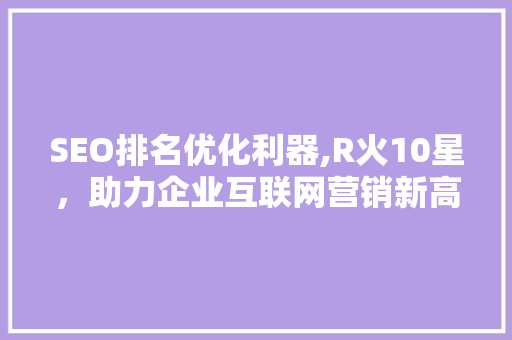 SEO排名优化利器,R火10星，助力企业互联网营销新高度