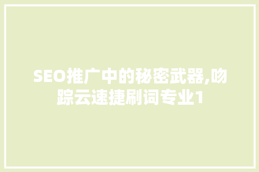 SEO推广中的秘密武器,吻踪云速捷刷词专业1