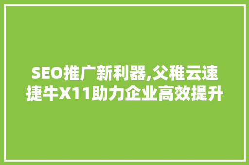 SEO推广新利器,父稚云速捷牛X11助力企业高效提升网站排名